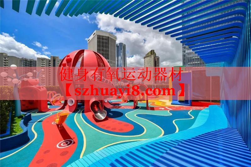 健身有氧运动器材 健身有氧运动器材